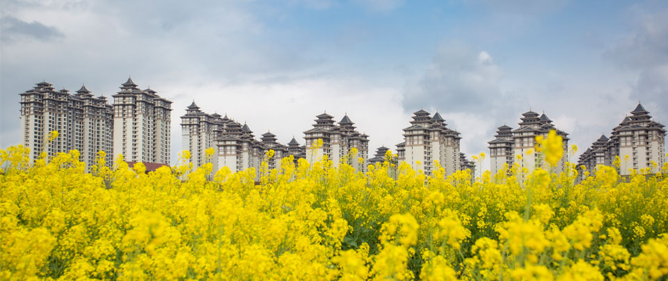 留侯社區(qū)鴻鵠軒